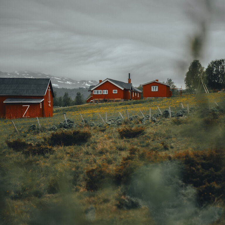 Nordic Riders