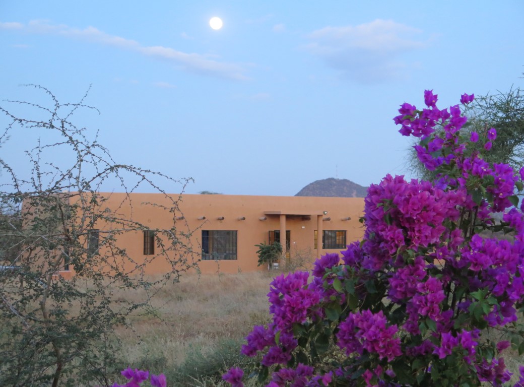 Samburu Dik-Dik Eco-Lodge