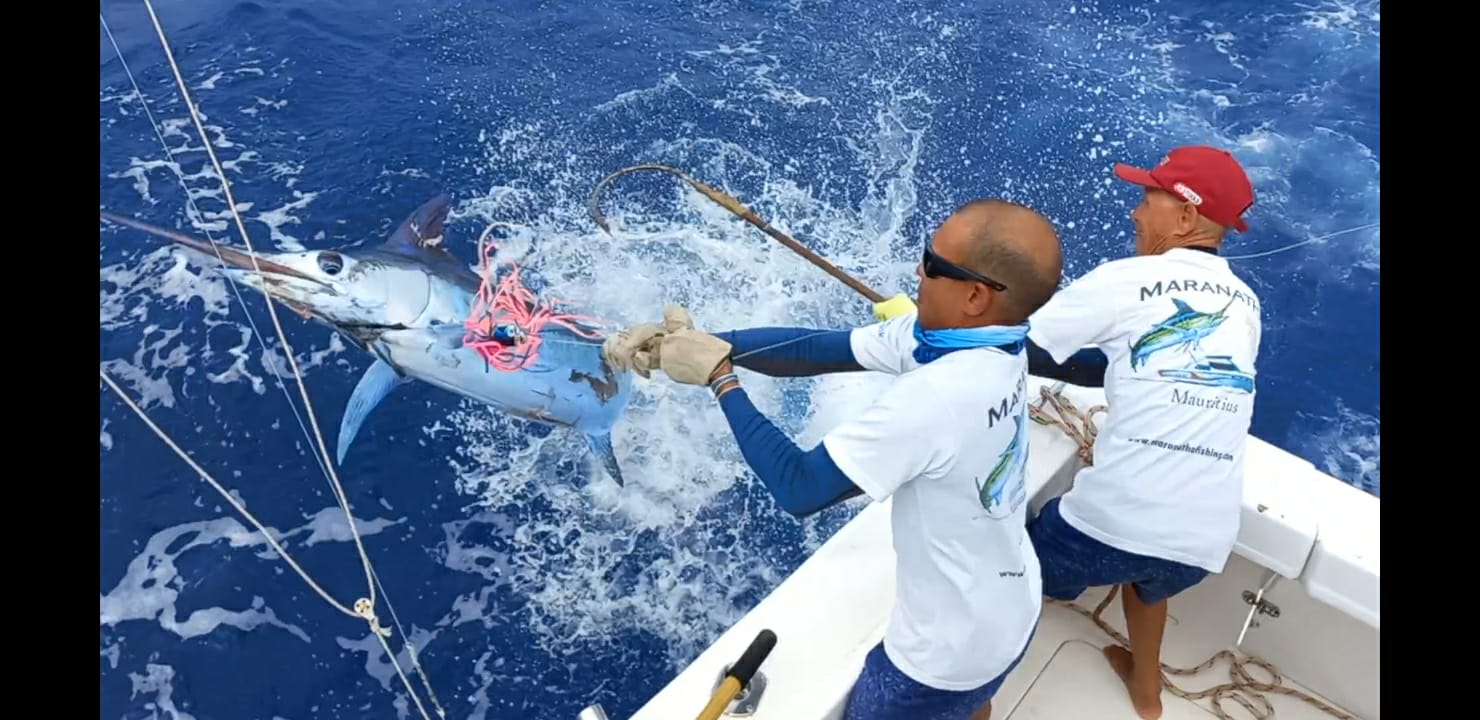 Maranatha big game fishing