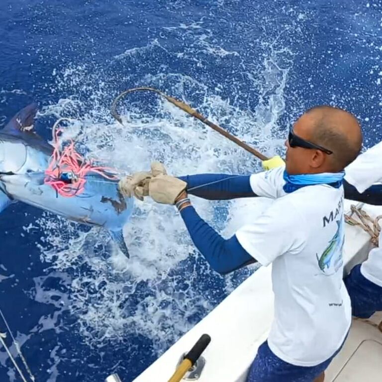 Maranatha big game fishing