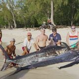 Maranatha big game fishing