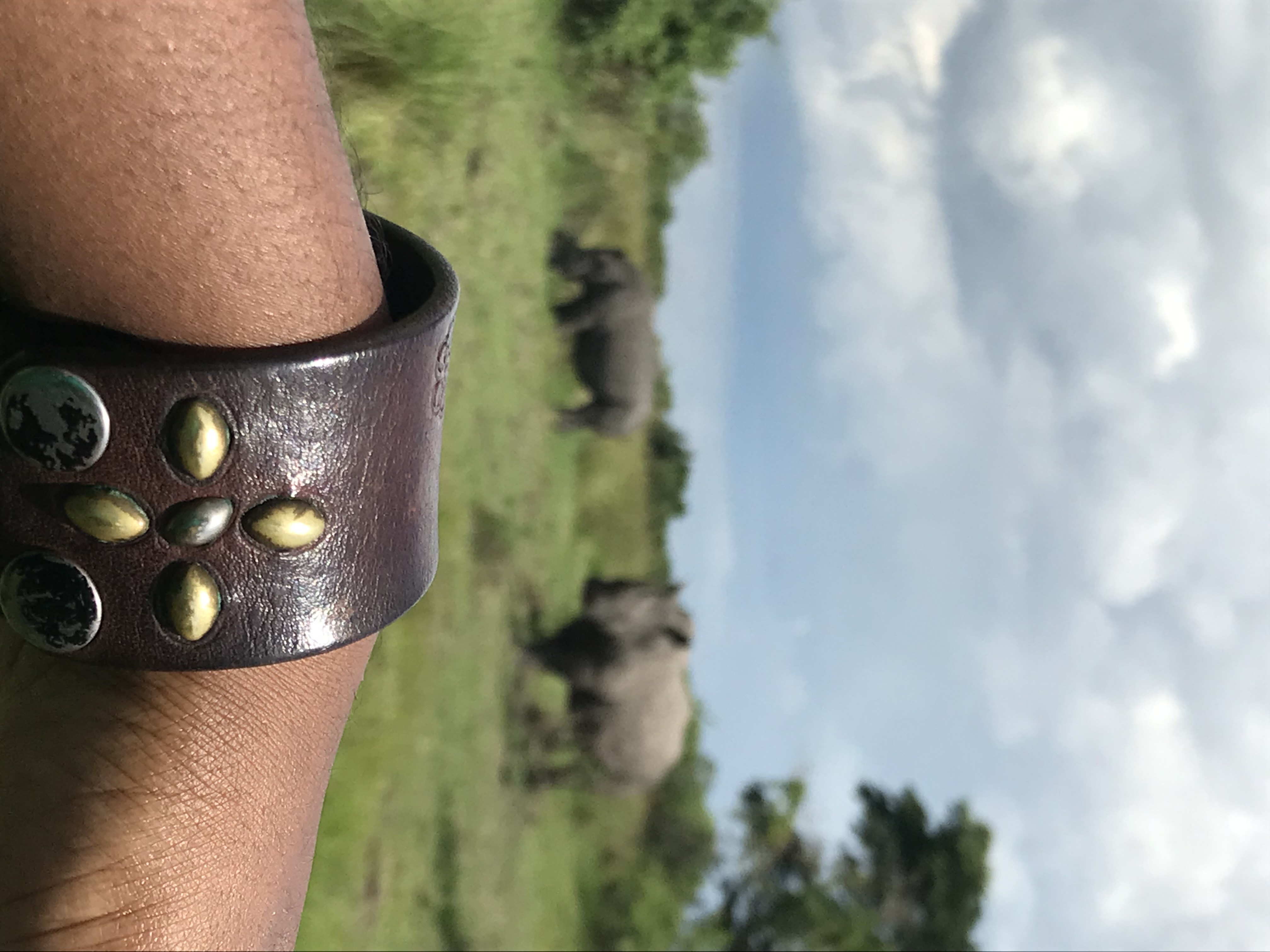 Essence Holdings LTD