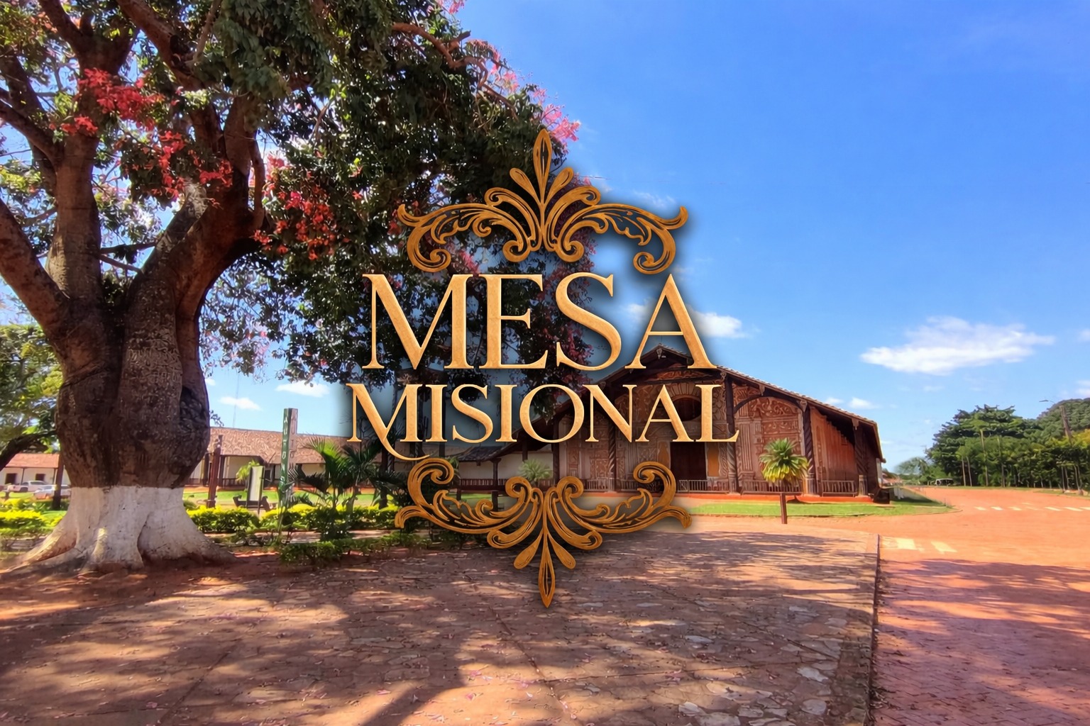 mesa.misional@gmail.com