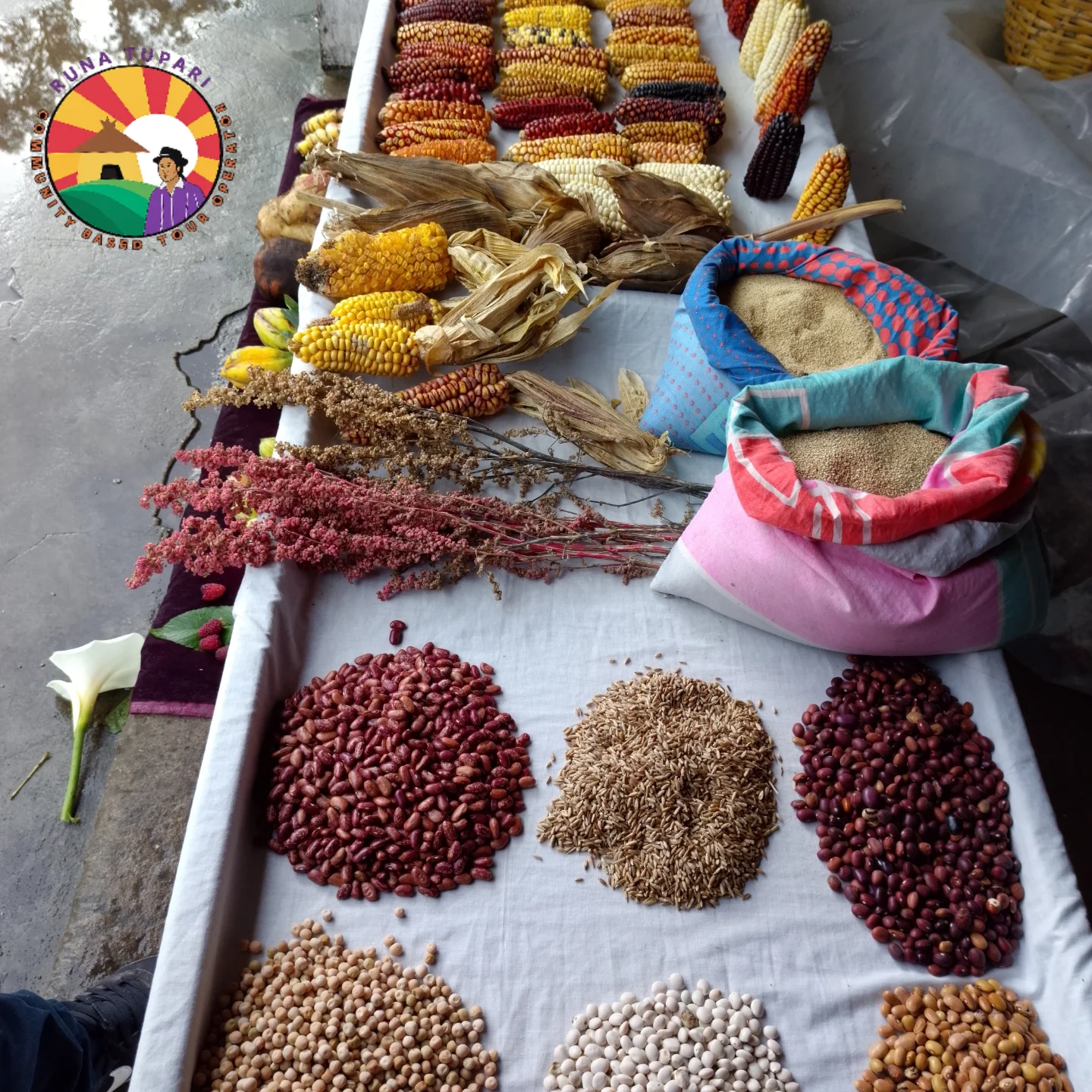 Runa Tupari Native Travel