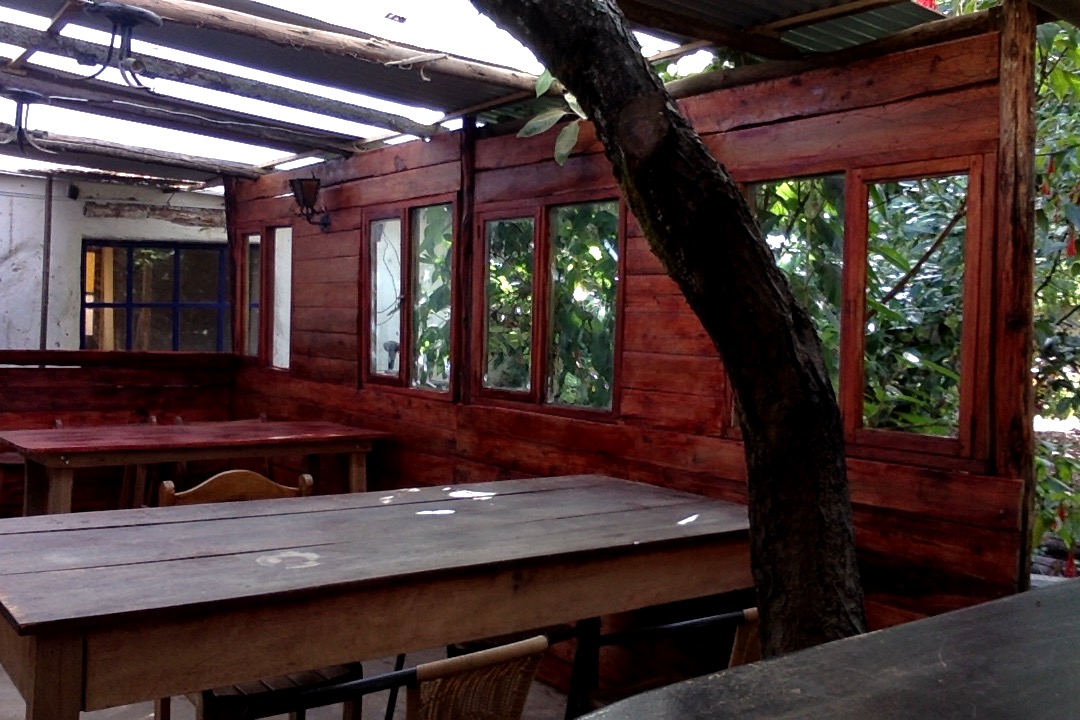 Pirates cove / pishtaco bar