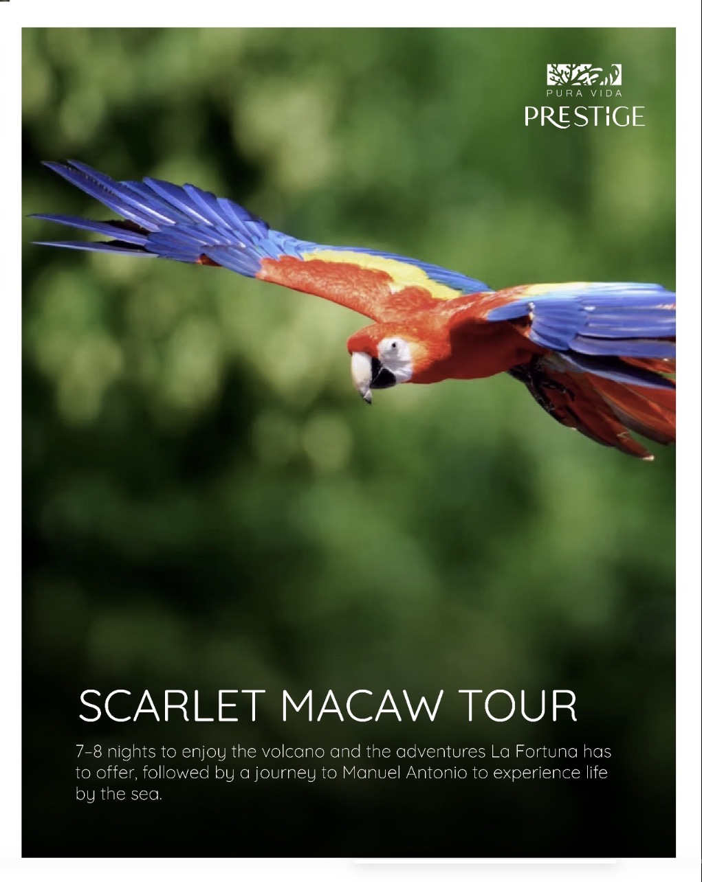 Maria Fernanda Vicente