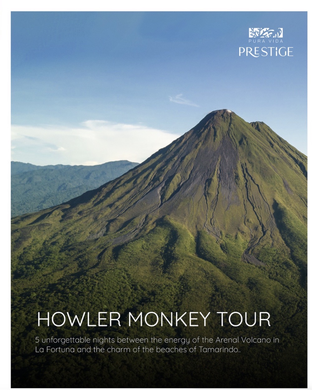 Maria Fernanda Vicente