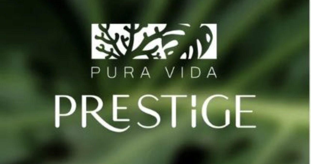 Maria Fernanda Vicente