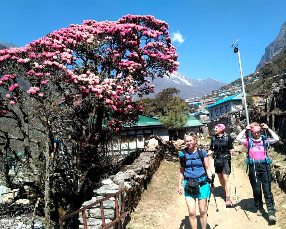 Nepal Gateway Trekking