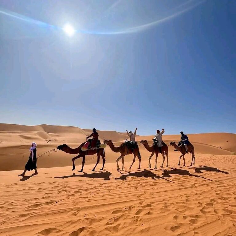 Guided Desert Morocco