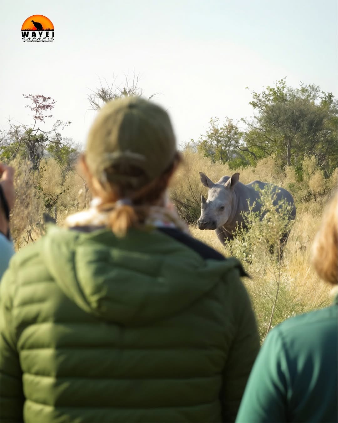 Wayei Safaris