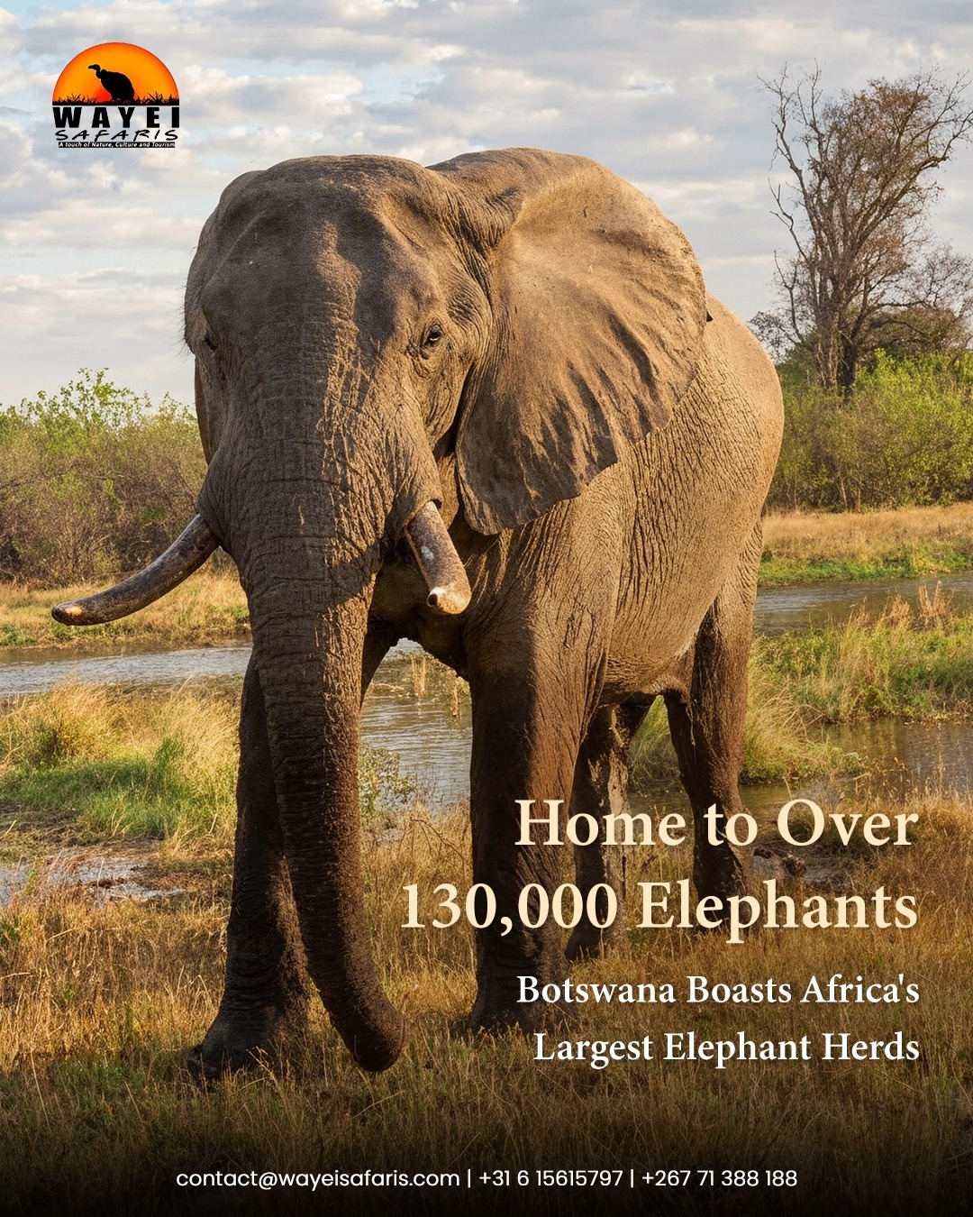 Shadrack Teenage Ntema