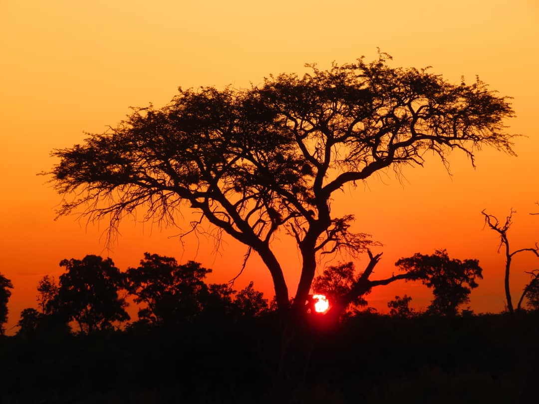 Shadrack Teenage Ntema