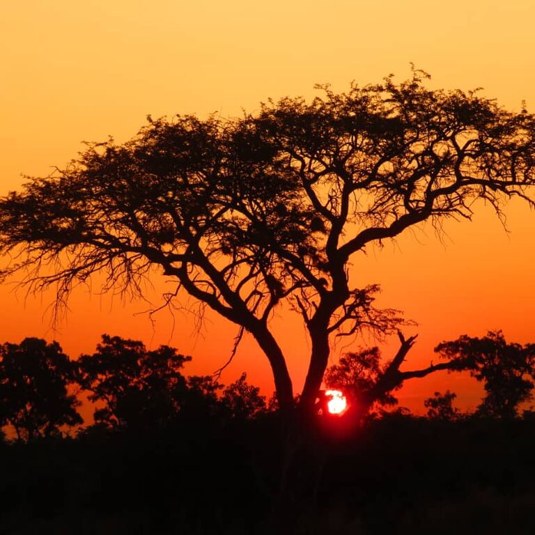 Wayei Safaris