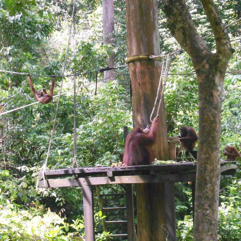 SANDAKAN HOTSPOT TOURS  TRAVEL