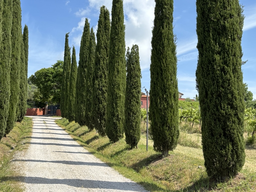 LE CASE ROSSE DI MONTEBUONO