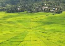 Komodo Wanderlust Tour