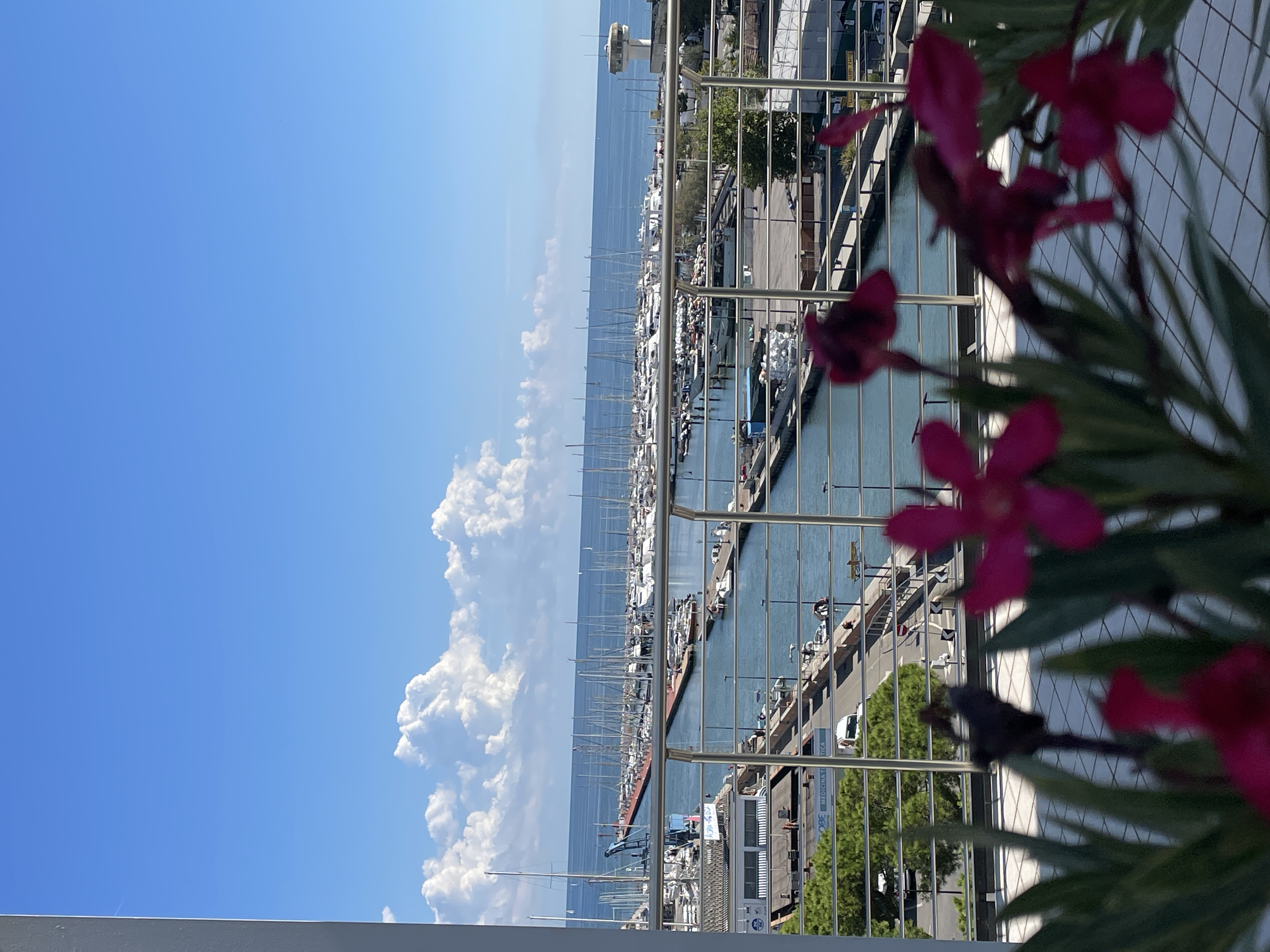 Hotel Franca Milano Marittima