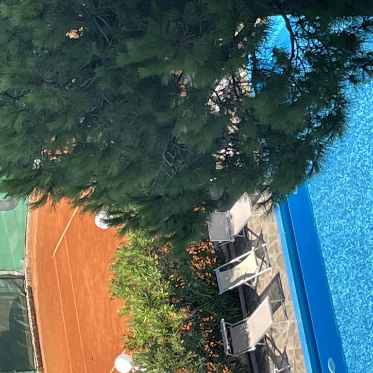 Hotel Franca Milano Marittima