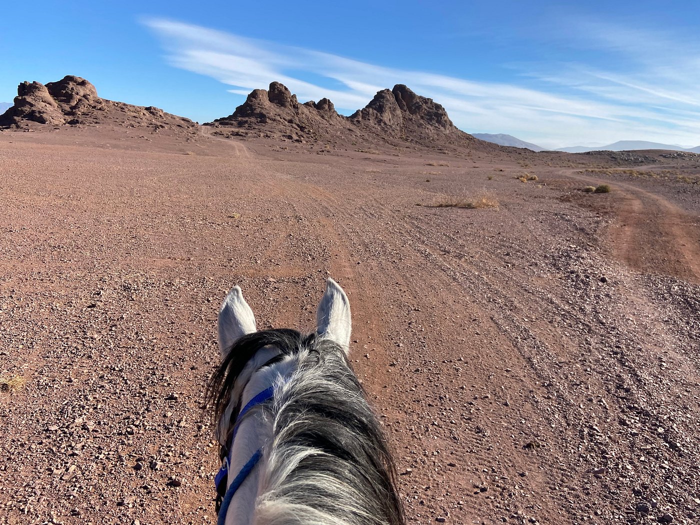 Nomad Horse Riding