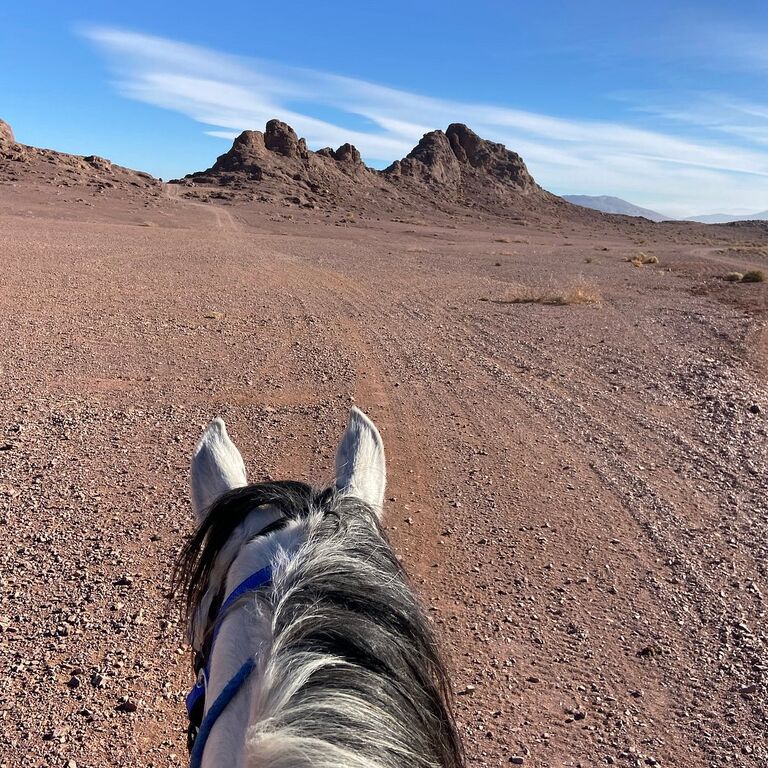 Nomad Horse Riding