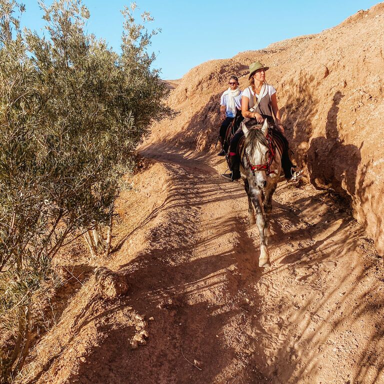 Nomad Horse Riding