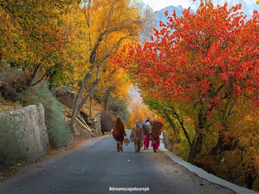 Dreamscape Treks & Tours