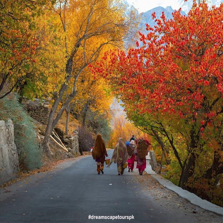 Dreamscape Treks & Tours