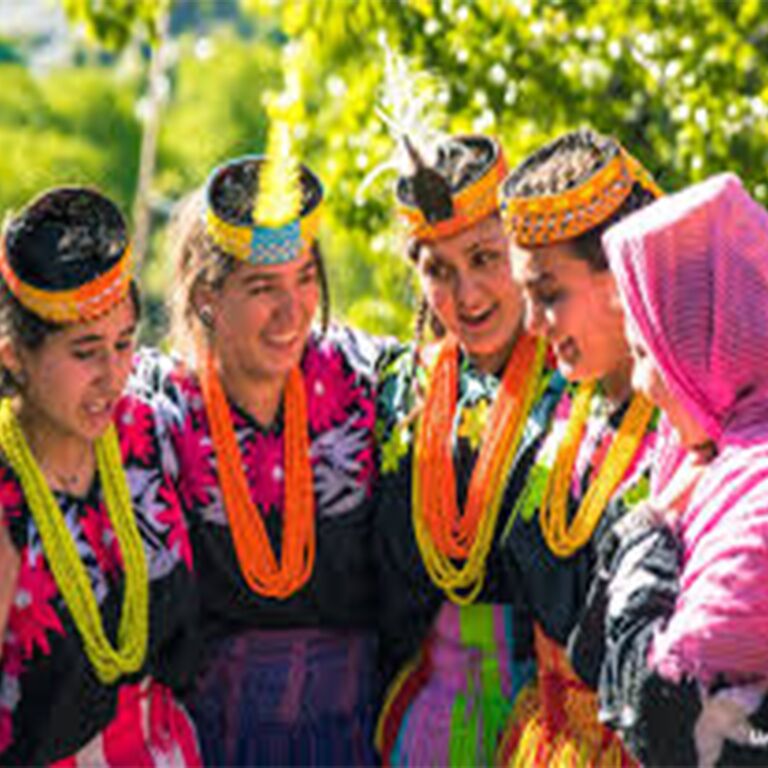 Dreamscape Treks & Tours
