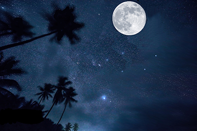 Stargazers Anonymous