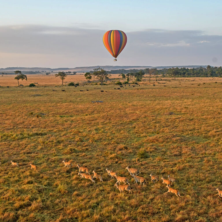 Scenery Holiday Safaris