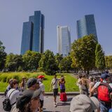 FFM Tours