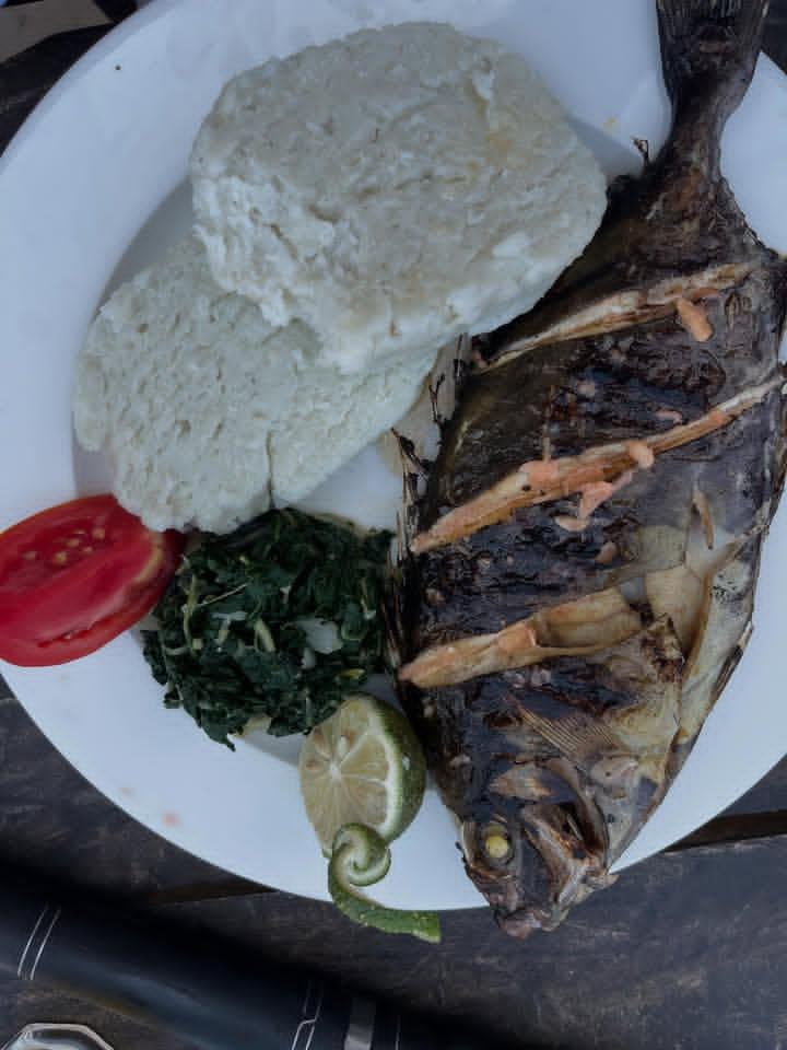 TRAVELNOW AND TOURISM AFRICA