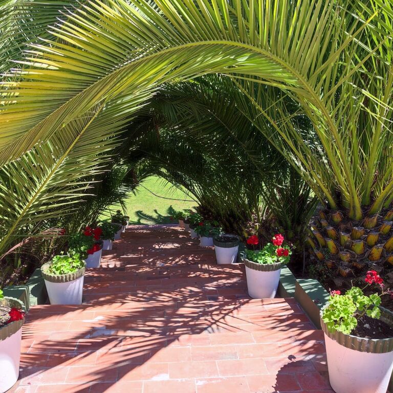 Quinta María Isabel