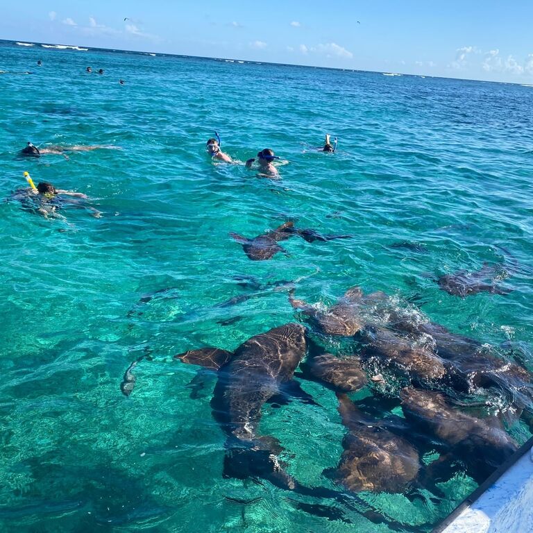 Belize Sea Level Adventures