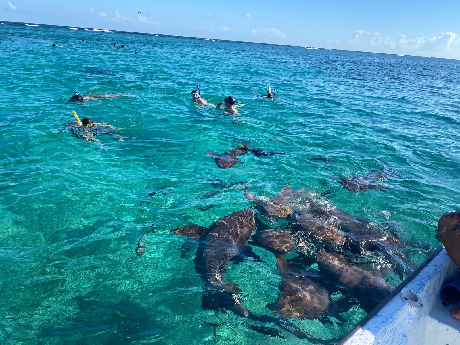 Belize Sea Level Adventures