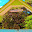ATA Safaris & Lodges