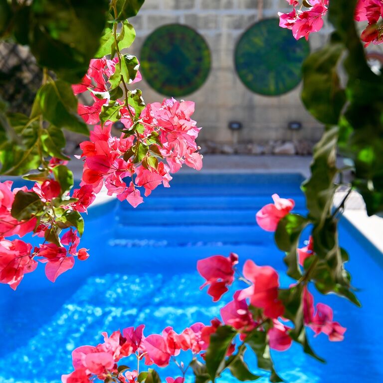 charming B&B dar ta Zeppi