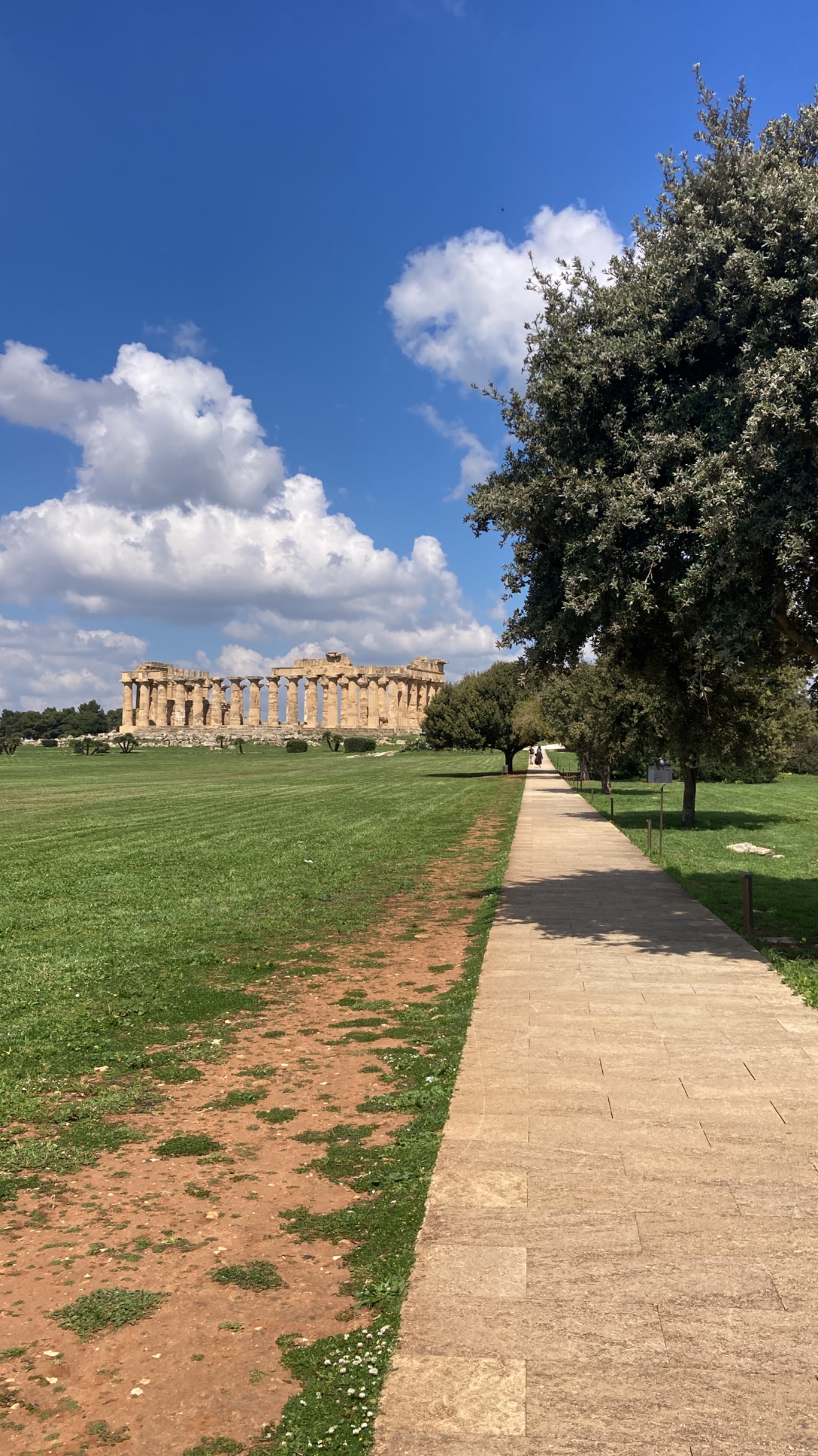 Sicilia in viaggio soc. Coop.