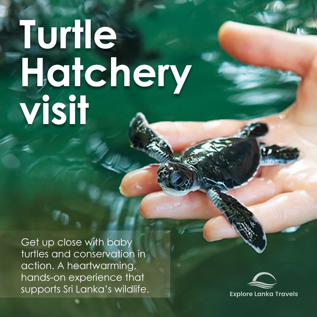 Explore Lanka Travels(Pvt)Ltd