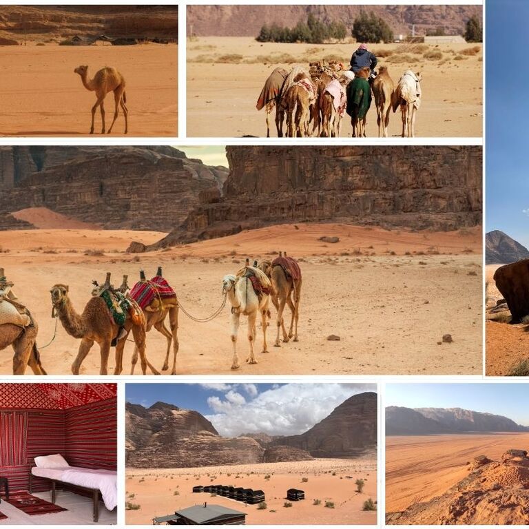 Soul Tribe Travel Jordan