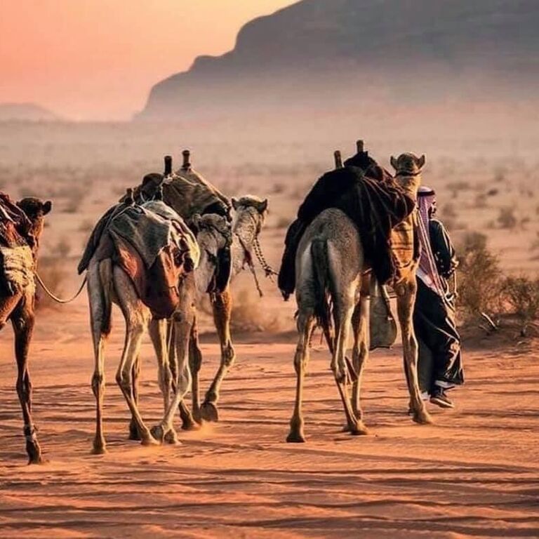 Soul Tribe Travel Jordan