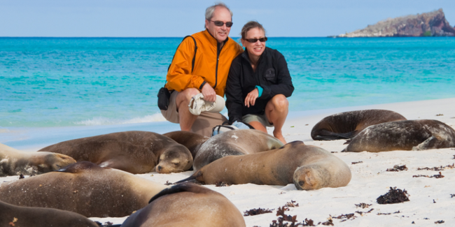 Voyagers Travel Company