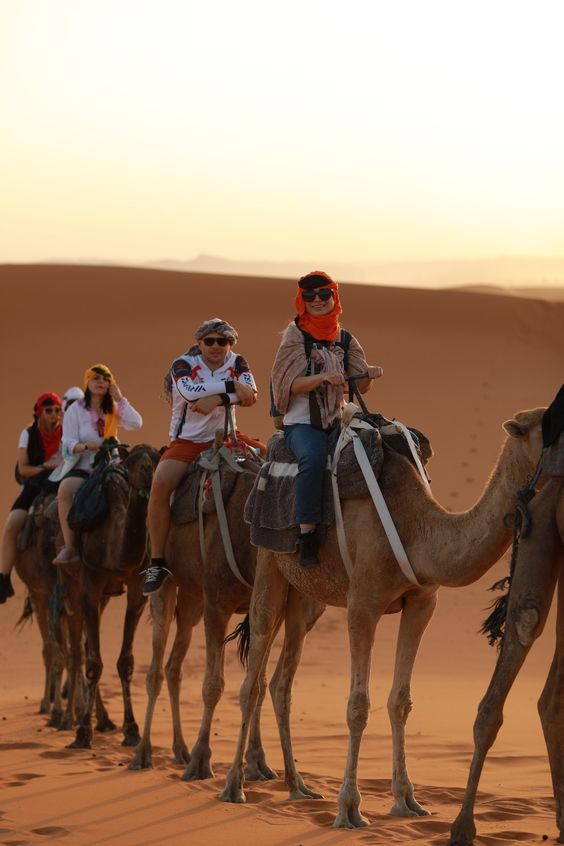 PAMPA VOYAGE MAROC