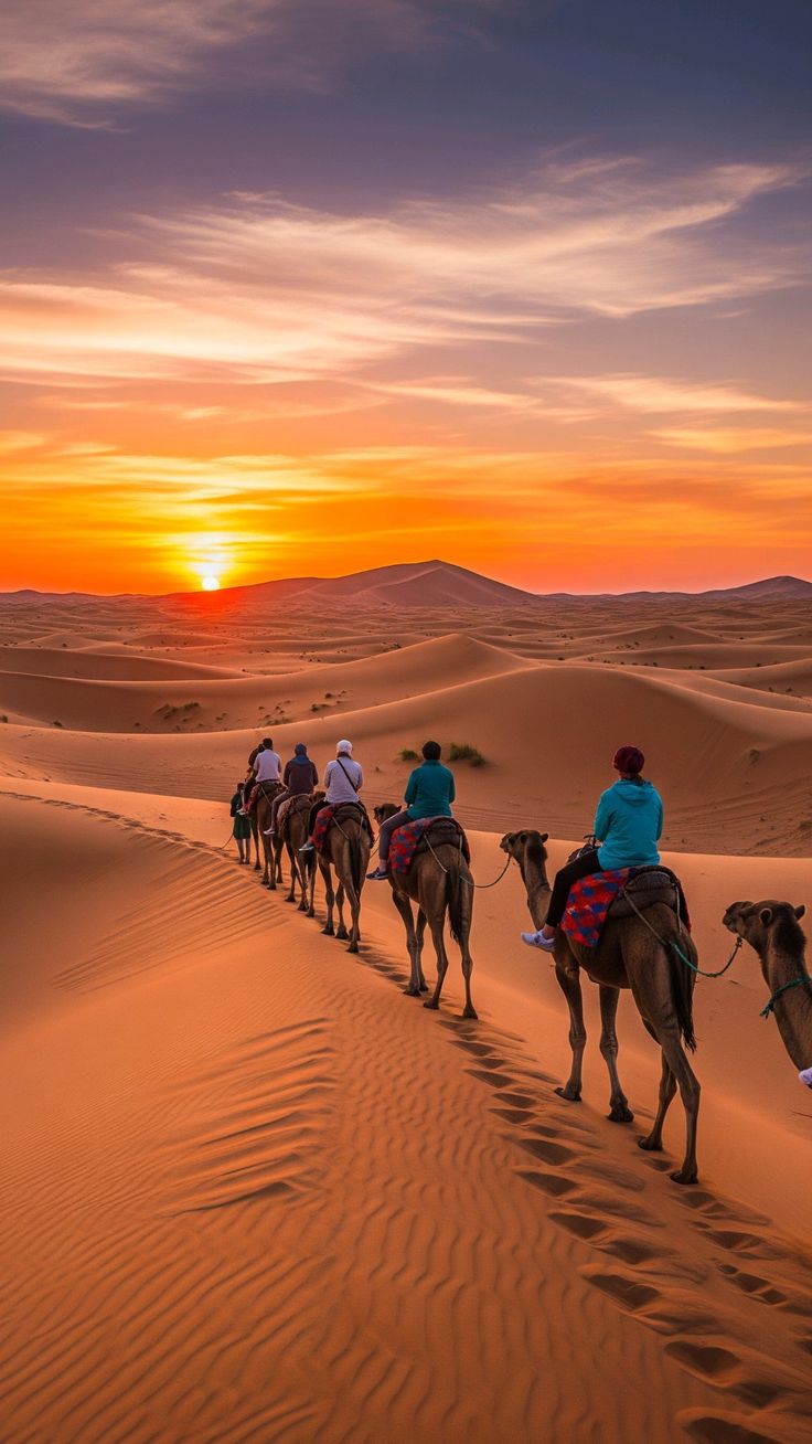 PAMPA VOYAGE MAROC