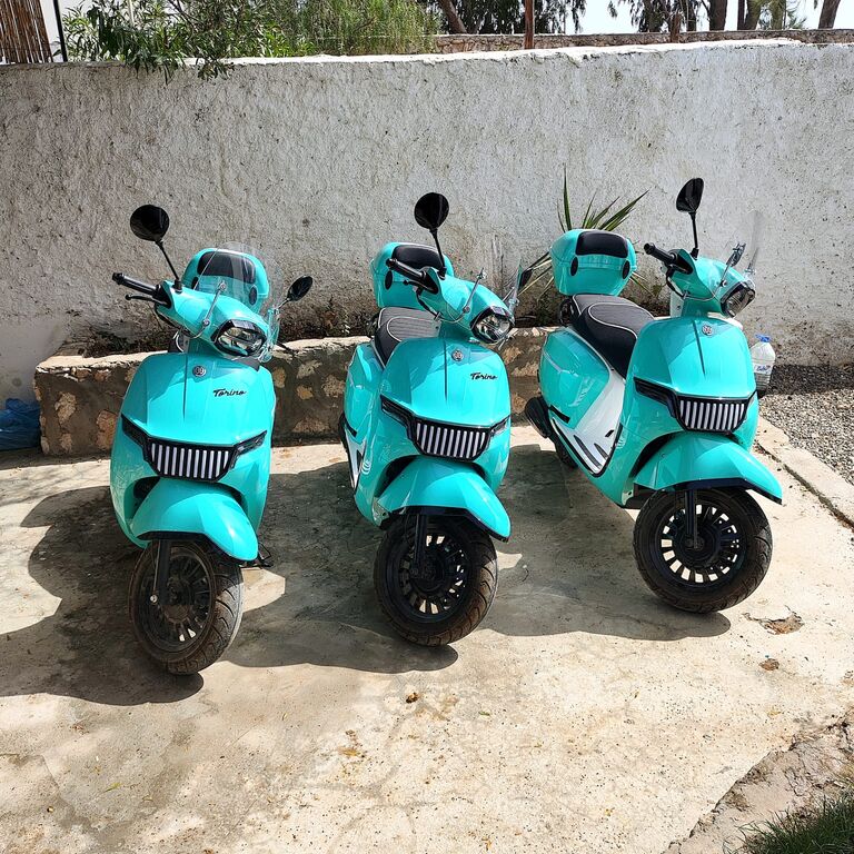 Bluescoot