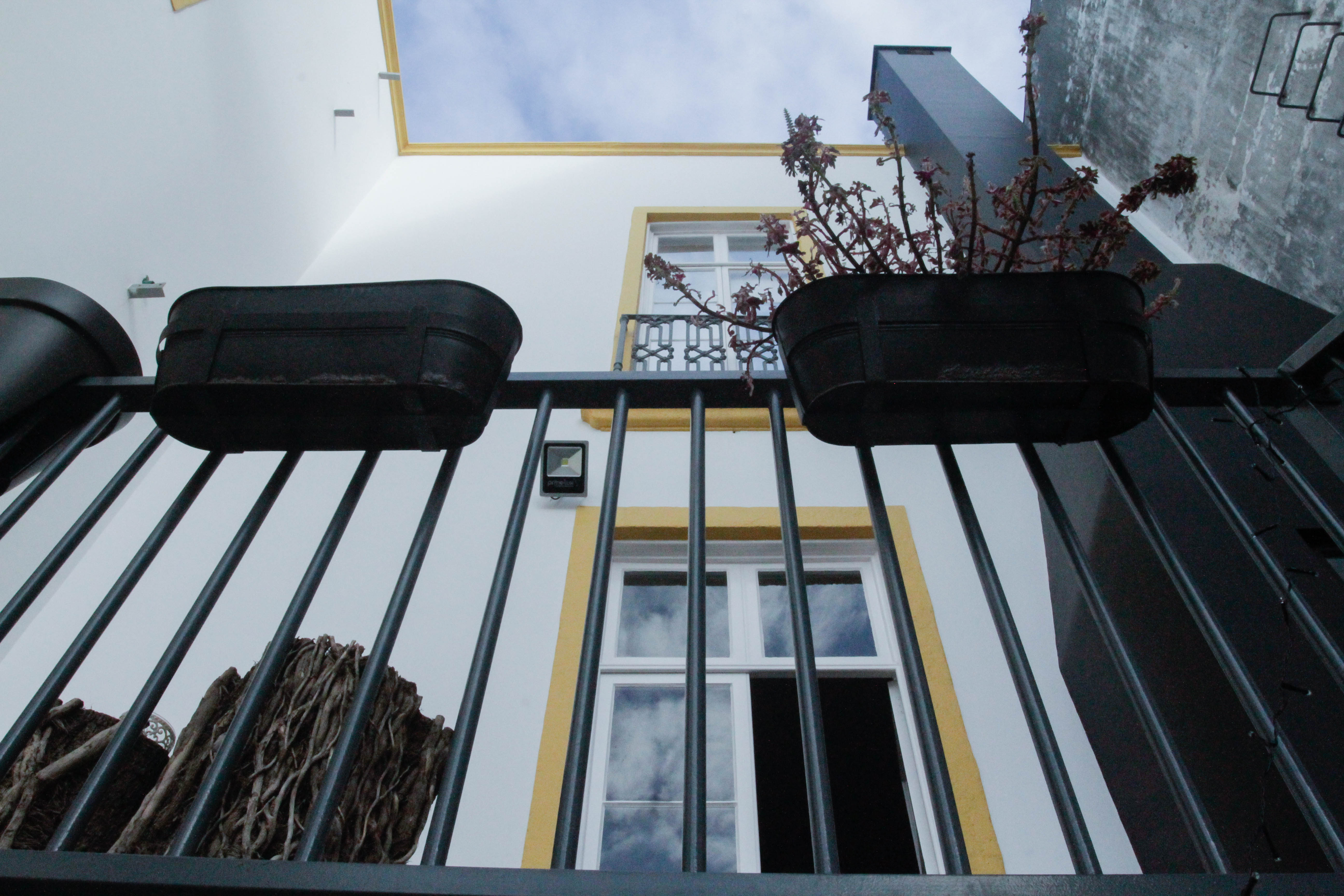 Procyon Boutique & Suites