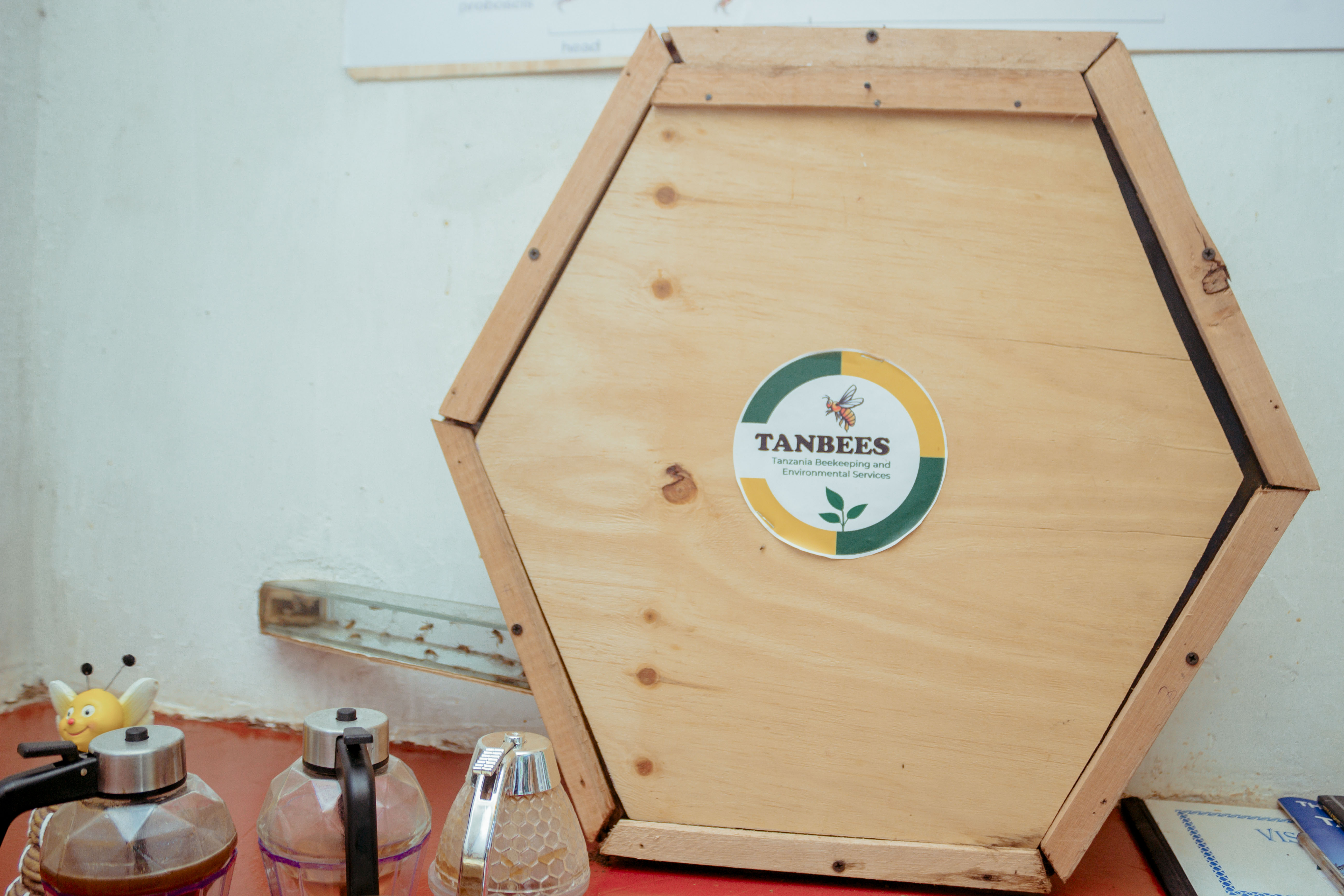 Apiculture Museum & Chameleons