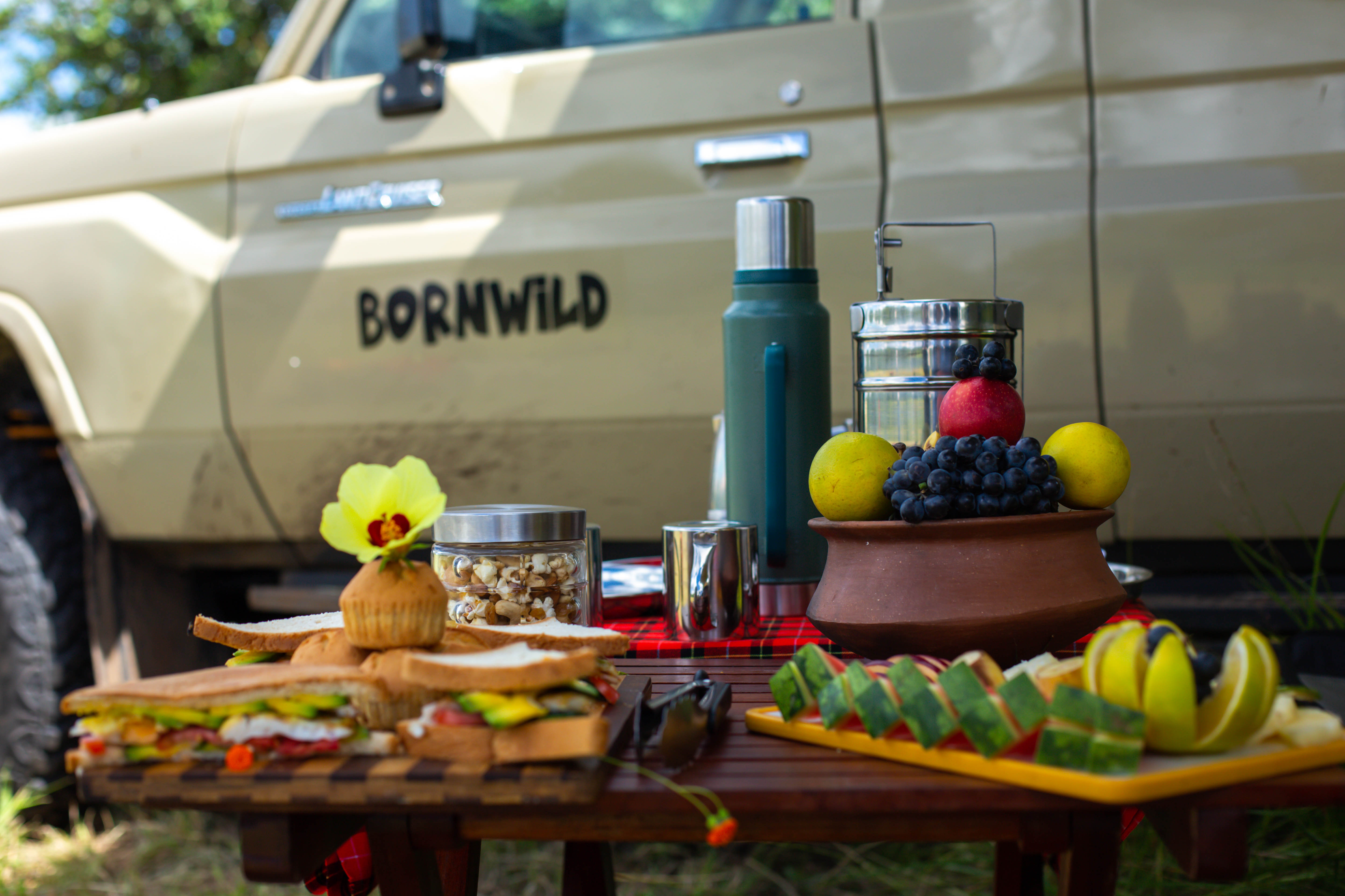 Bornwild Safaris