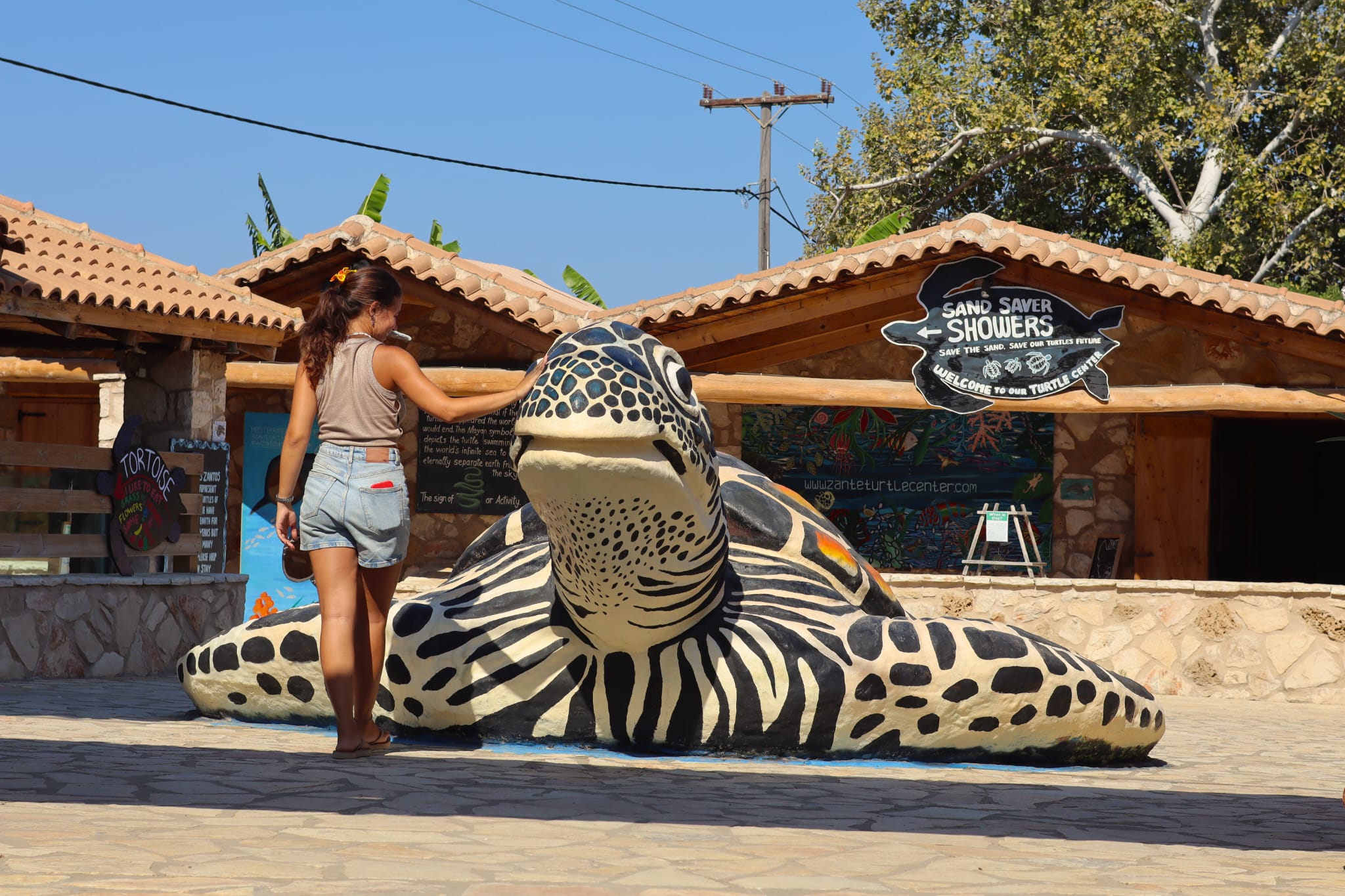 Zante Turtle Center